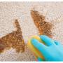 Почистващ спрей за килими/тапицерии vanish pet expert, 500ml