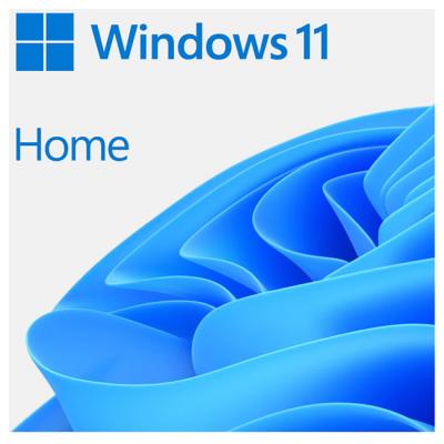 Програмен продукт microsoft windows home 11 64-bit bulgarian usb rs, haj-00086