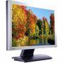 Монитор benq 20.1" lcd fp202wa