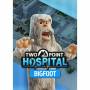 Two point hospital - bigfoot (dlc) steam key global