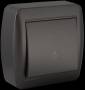 Светлинен бутон 10a 250v