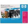 Хартия hp artist matte canvas 380 g/mі-a3+/330 x 483 mm/25 sht - q8731a