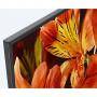 Телевизор sony kd-55xf8596 55 инча 4k hdr tv bravia triluminos, edge led, processor x1, android tv 7.0, xr 1000hz, черен, kd55xf8596baep