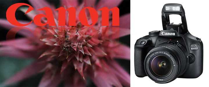 Фотоапарат Canon EOS 4000D kit (с обектив 18-55mm)