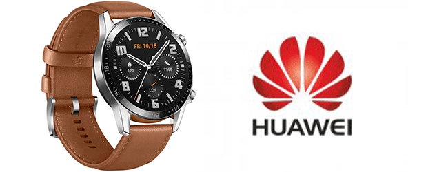 Huawei watch 2024 gt2 latona b19v